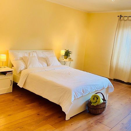 Sunny Attic Apartment 兹沃伦 外观 照片